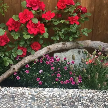 Guest house Gastehaus Hanser 3*