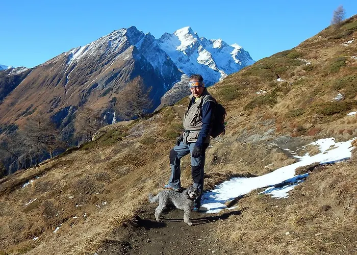 Πανσιόν Gaestehaus Hanser 3*