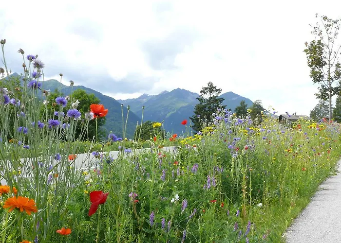 Gaestehaus Hanser 3* Virgen